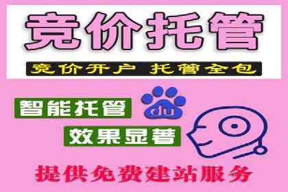 成功案例：SEM托管代运营助力业务增长